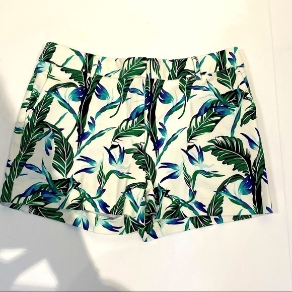 Dalia Pants - Dalia flat front shorts